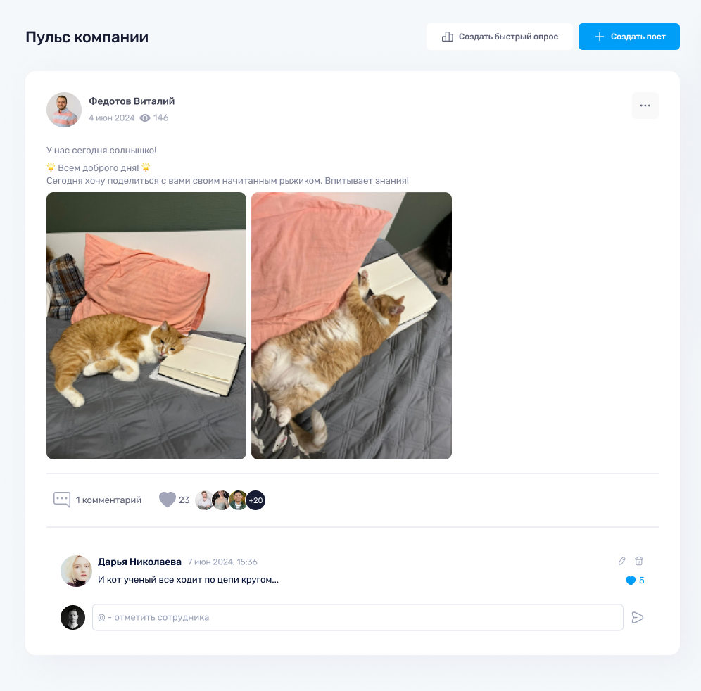 image5.png image5.png